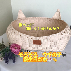 ❣️耳付き猫カゴ ☆ホワイトバニラ☆ クッション・ベッド TEKURA 通販