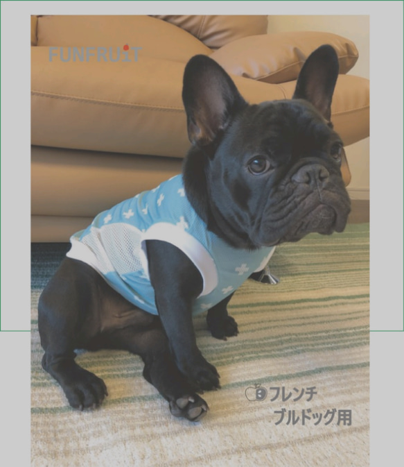 【フレブル・パグ 用】水に濡らしてひんやり！冷え冷えクール タンクトップ 犬服【北欧柄・エメラルドブルー】 1枚目の画像