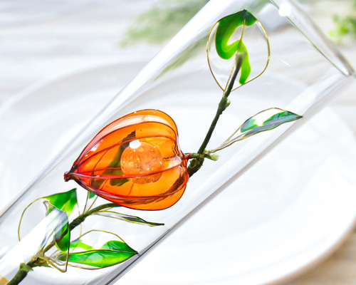 【もも。様 オーダー】透かしほおずきハーバリウム２点 透かしほおずきハーバリウム - メルカリ