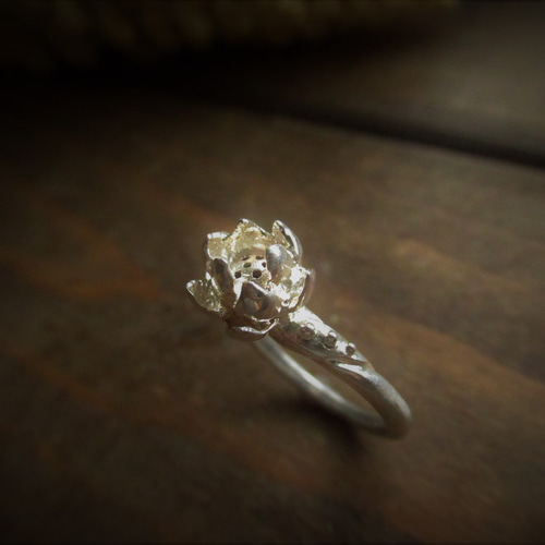 テーンカップ様 リング ご確認 指輪