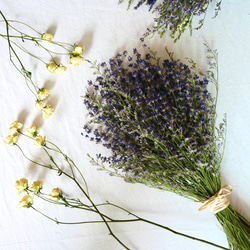 北海道オオウバユリのスワッグ ドライフラワースワッグ50cmサイズ