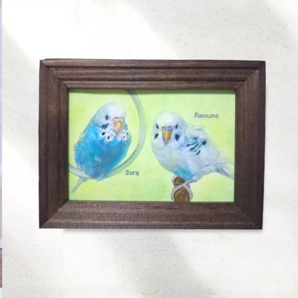 【真作】絵画　水彩　セキセイインコ　ペア　二羽の小鳥　青と緑のインコ　Y185 掛川花鳥園のコガネメキシコインコ描きました🦜✨ F4サイズ #水彩