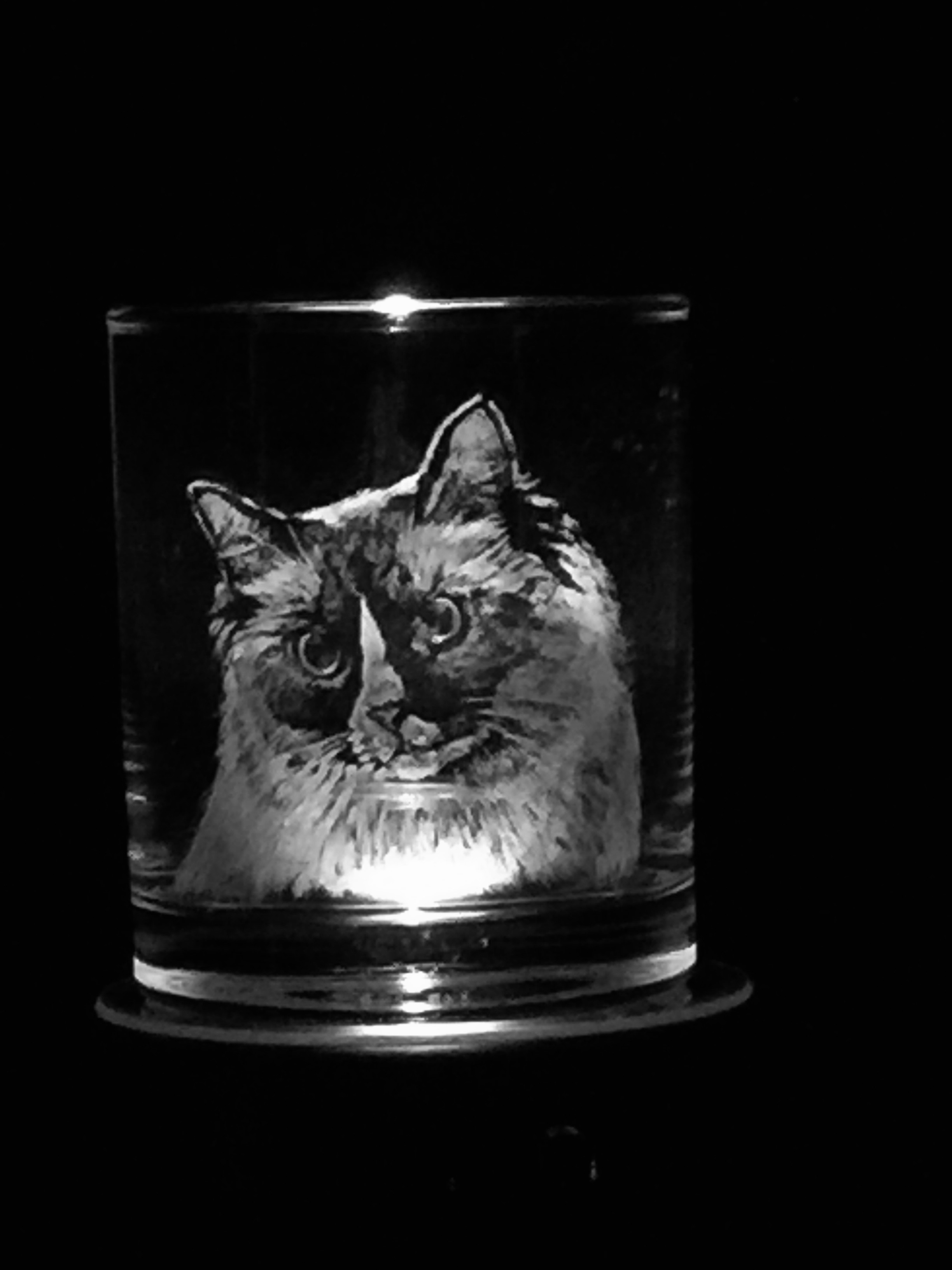 ロックグラス❣️ねこちゃんをそっくりに彫ります（オーダーメイド）