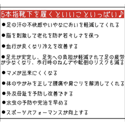 満月 草木染め EMヘンプ5本指スニーカーソックス〜島 森と光〜 22〜24cm 大麻 5枚目の画像