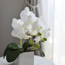 お祝いにも♪胡蝶蘭のスタイリッシュなアレンジメント アートフラワー