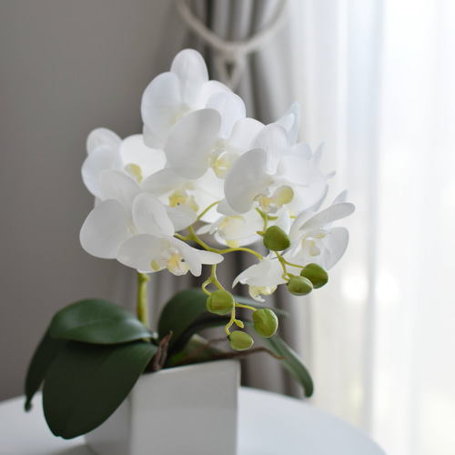 お祝いにも♪胡蝶蘭のスタイリッシュなアレンジメント アートフラワー