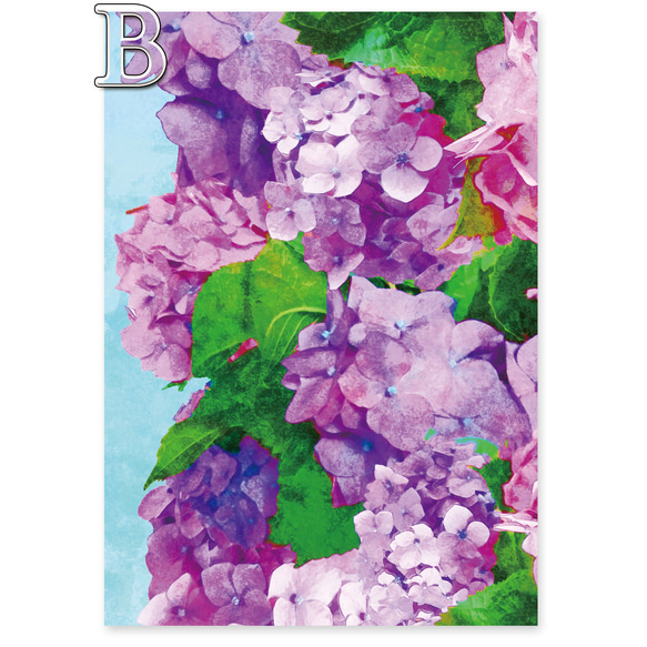 ＊選べる＊『Hydrangea in bloom』レターセット 5枚目の画像