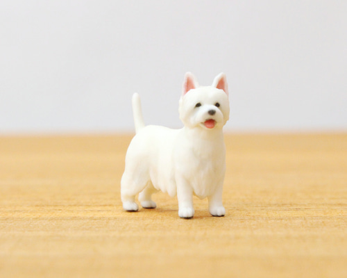 d5dd820118b06c42fa0132f66d9b6b