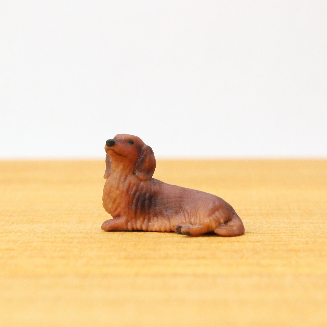 wooden fur | ダックスフンド 大きくてふわふわの手がかわいい