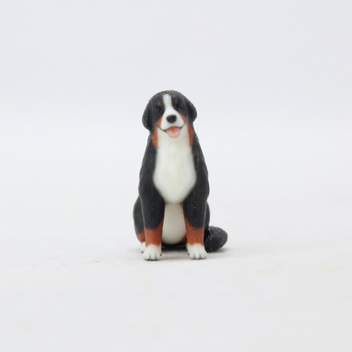 Collecta 88801 バーニーズ・マウンテンドッグ n5ksbvb Amazon.com: Collecta Bernese Mountain Dog Animal Toy, 4.1