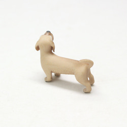 剛毛微型臘腸犬模型 第3張的照片