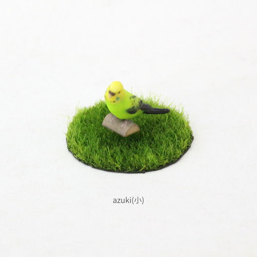 グリーンセキセイインコ 21 | HANSA