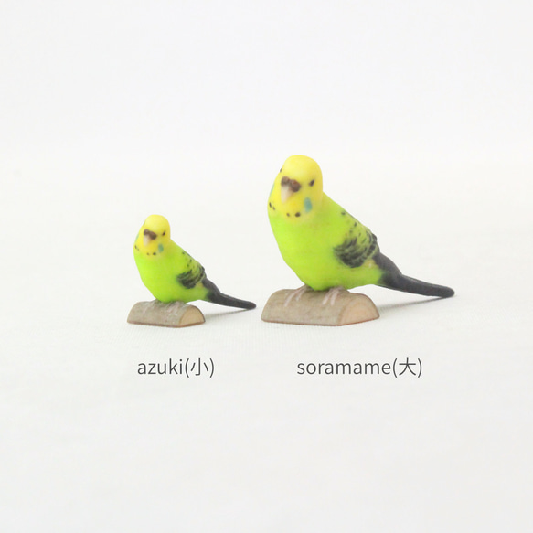 セキセイインコ　オパーリングリーンのフィギュア 4枚目の画像