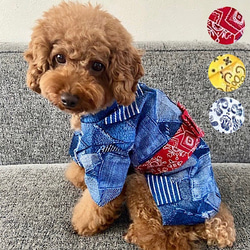 タロット占い【ペット・動物の気持ち】 ペット服・アクセサリー