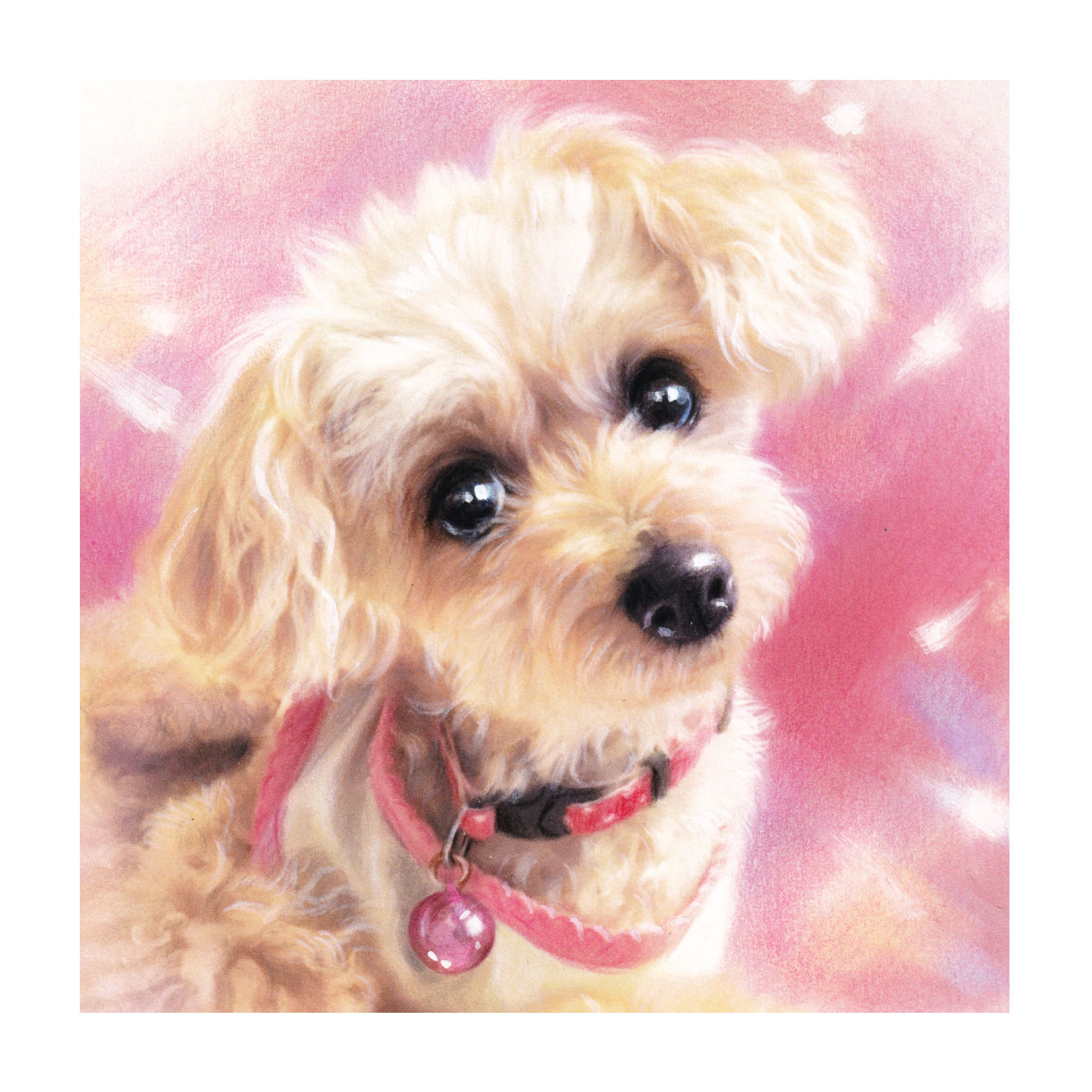 色鉛筆手描き似顔絵 ★ 虹色メモリアル★ ＃似顔絵オーダー #ペットの絵 ＃ペット肖像画 #ギフト