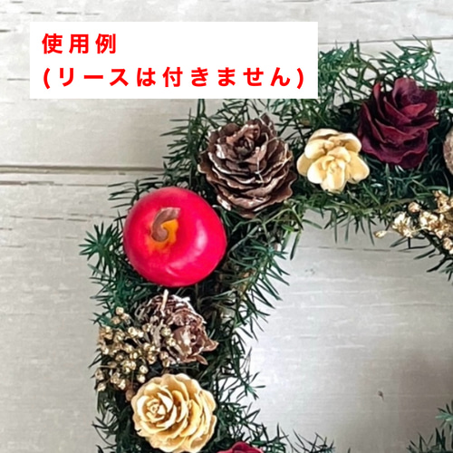 小さな木の実セット ハーバリウム、リース、飾り付けに その他素材 