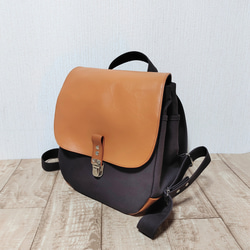 CELINE　ダークブラウン ミニリュック 関税込☆CELINE☆トリオンフ 可愛いミニバックパック (CELINE