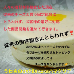 半生マスカルポーネチーズケーキ(送料無料) 13枚目の画像