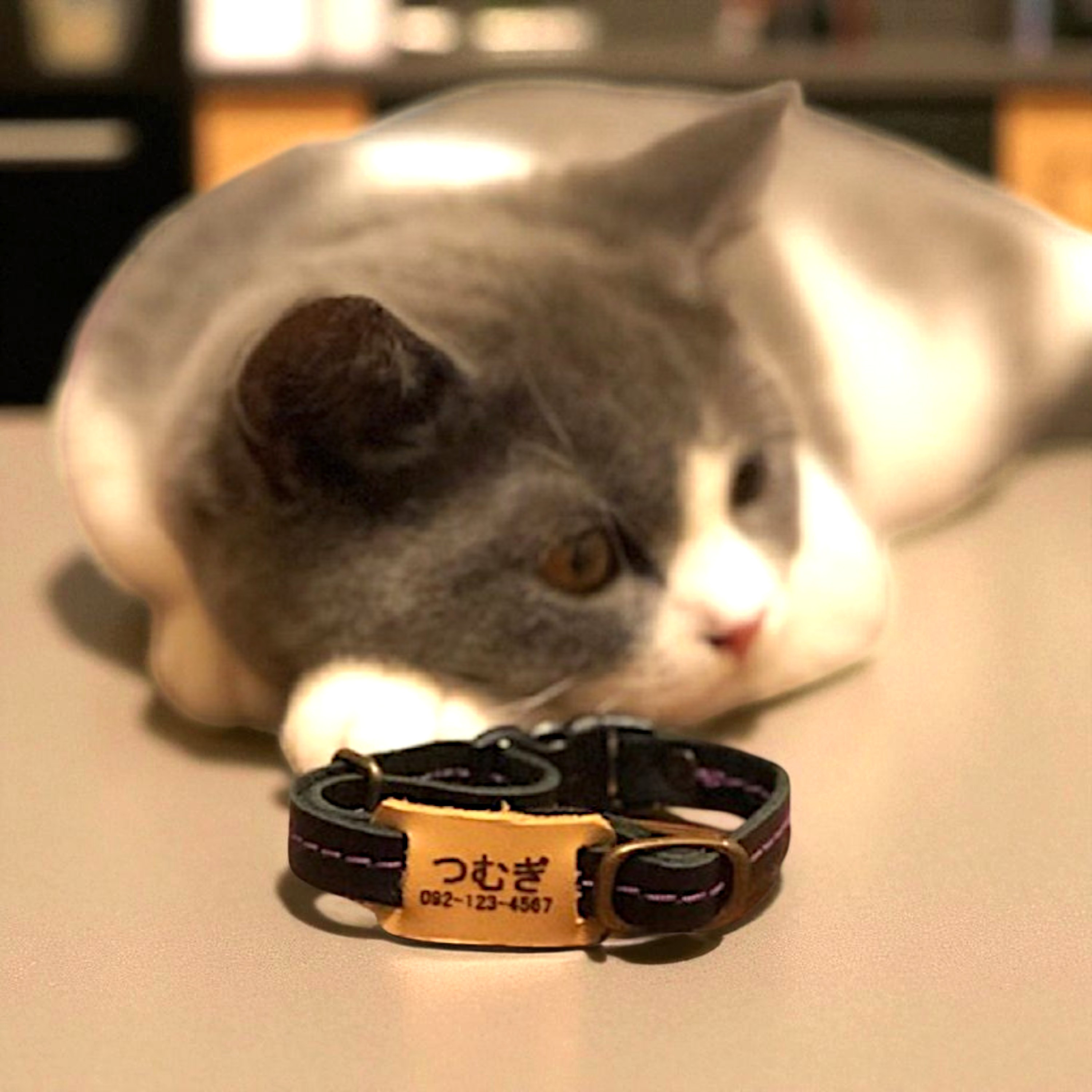 木製猫の彫刻 赤い首輪付き