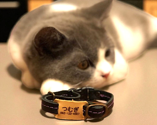 木製猫の彫刻 赤い首輪付き 木製猫の彫刻 赤い首輪付き