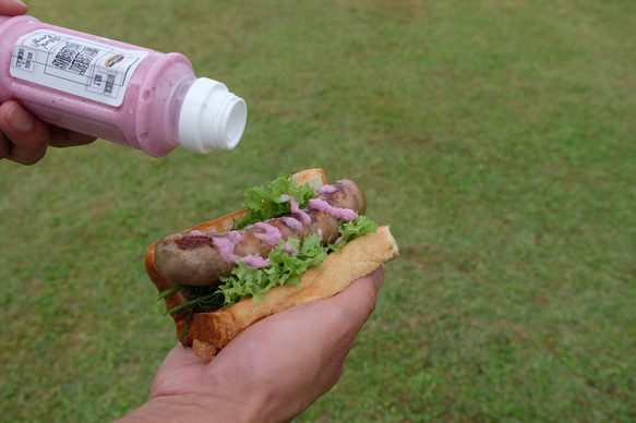 サラダをもっとおいしく楽しくSupplement Dressing選べる５本セット（生ドレッシング/無添加/砂糖不使用） 6枚目の画像