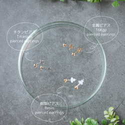 咲き零れる銀木犀 / 季節限定 8枚目の画像