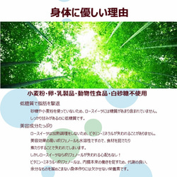 グルテンフリー ヴィーガンスイーツ RAW塩バニラケーキ15cmホール 卵・乳製品、動物性食品不使用 6枚目の画像