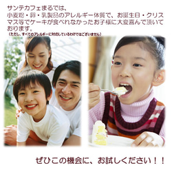 グルテンフリー ヴィーガンスイーツ RAW塩バニラケーキ15cmホール 卵・乳製品、動物性食品不使用 17枚目の画像