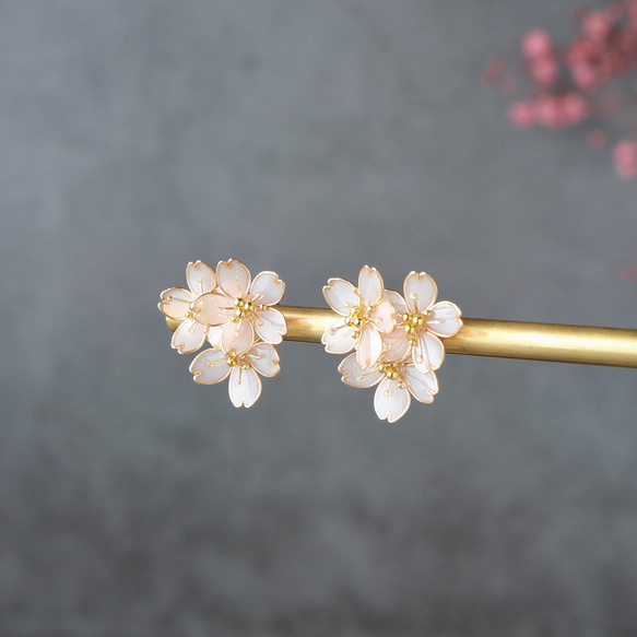 櫻花花束/僅限季節 第6張的照片
