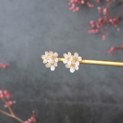 櫻花花束/僅限季節 第3張的照片