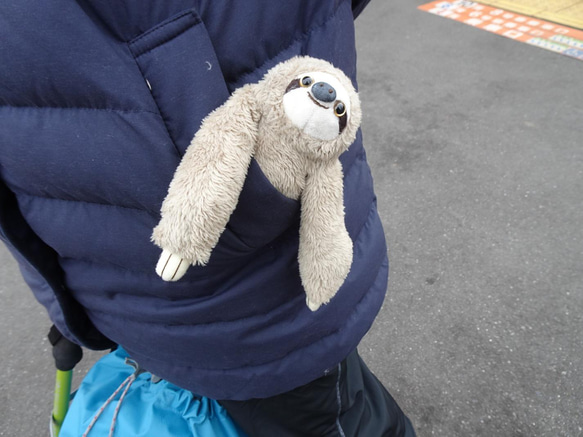 色違いのナマケモノ(1ヶ月以内で発送) 13枚目の画像