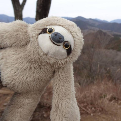 色違いのナマケモノ(2.5ヶ月以内で発送) ぬいぐるみ Stepping-Dogs