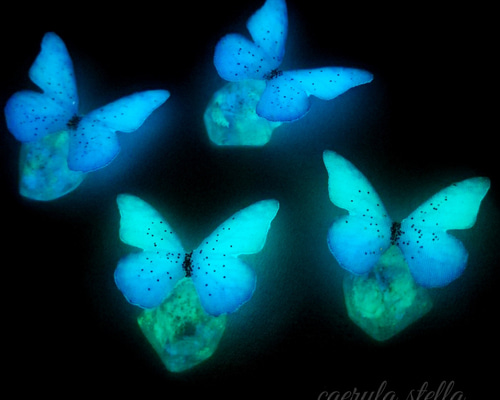 2f9e9d02e0ebed72b367145984aeb5