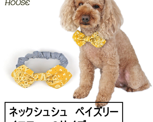 a266208c6c1a19d0ea05cfa20e297f