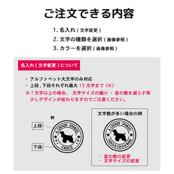 【ビション】犬 カーステッカー 転写 ビションフリーゼ 7枚目の画像