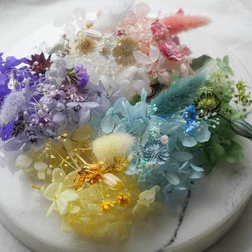 ②花材セット 6色2Boxチーゼルフラワー入り＊ハーバリウム花材ドライフラワー 花材