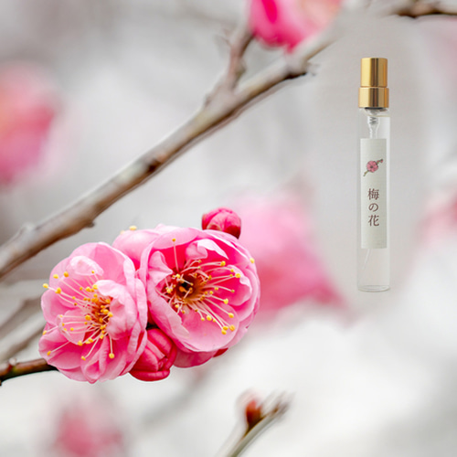 チワワ、うめ様ご確認用 うめ様確認用 チワワ、うめ様ご確認用