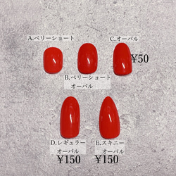 【no.047】ニュアンス/押し花/シェル/ミラー/ワイヤー/ネイルチップ 3枚目の画像