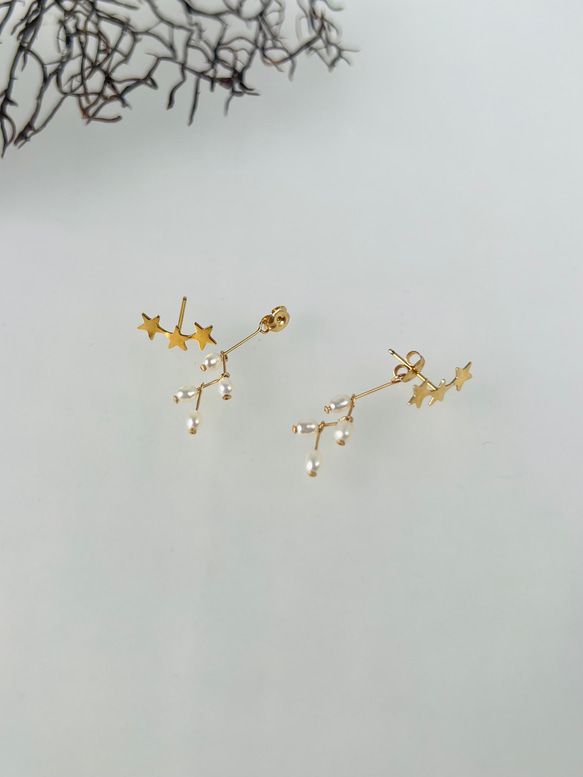 琵琶湖パール＊星と星座のピアス 6枚目の画像
