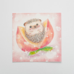 【複製画】「ハリ桃ちゃん」　パステルアート　ハリネズミ　ピーチ　動物　かわいい　ピンク　フルーツ　イラスト 6枚目の画像