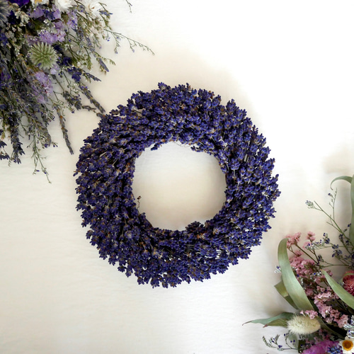 ◆ハーフリース◆ ドライフラワーリース◆ラベンダー 北海道富良野産ラベンダーリース 濃紫ラベンダードライフラワーLサイズ