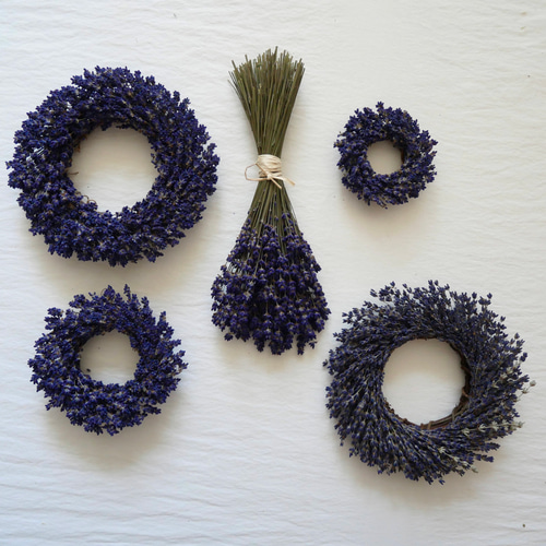 北海道富良野産ラベンダーリース 濃紫ラベンダードライフラワーLサイズ