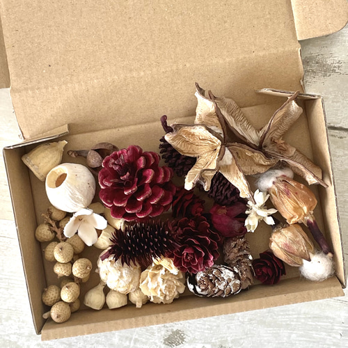 クリスマスのディスプレイに便利！たっぷり木の実セット その他素材