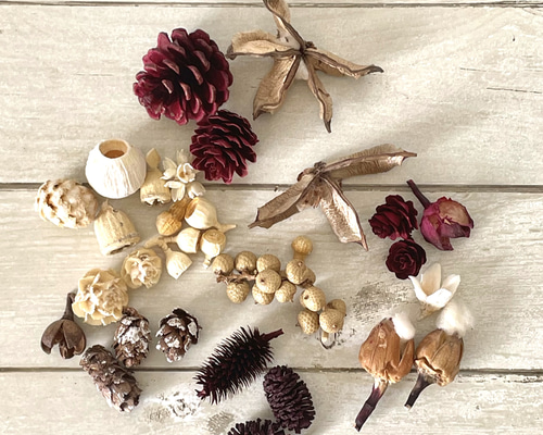 クリスマスのディスプレイに便利！たっぷり木の実セット その他素材