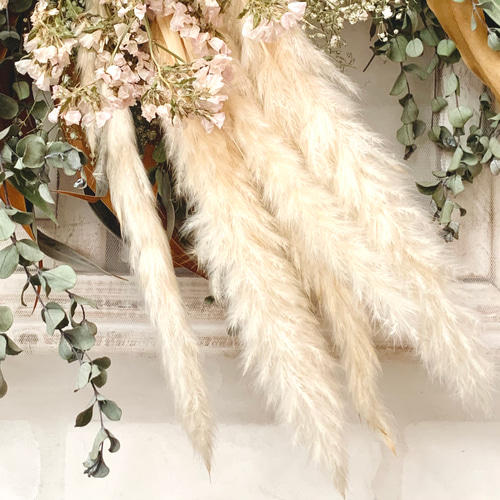 ドライフラワー スワッグ 壁飾り 花束 ブーケ テールリード グレビレア