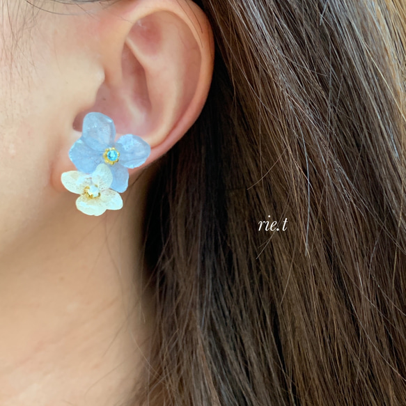 rie.t】紫陽花ツートンカラー ピアスorイヤリング イヤリング  