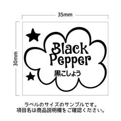 ラベルシール オーダーメイド 調味料ラベル 10枚セット 品番SP44/SP43 4枚目の画像