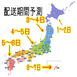 お急ぎ、期日指定はお断りさせて頂きます　展示では全く閲覧されない為　出品設定で告示しております 13枚目の画像