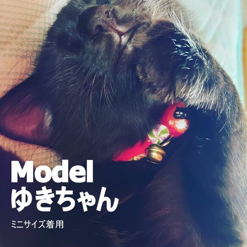 飴玉かわいいねこだるま＊和風猫ちゃん首輪 リード・首輪 Atelier LEON