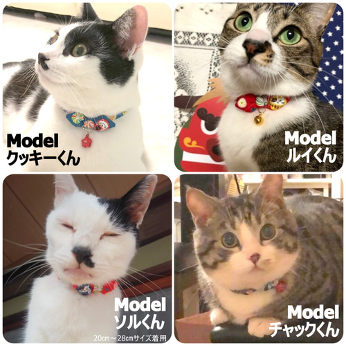 ❸だるま猫雛　m(*´꒳`*)m ※首輪付き 楽天市場】アモワークス 千客万来だるま カラー S / M 全2色 猫 首輪